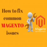 Top Challenges For Magento Ecommerce Stores