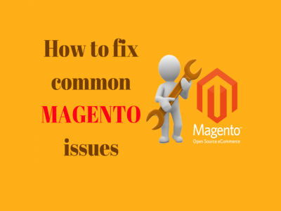 Top Challenges For Magento Ecommerce Stores